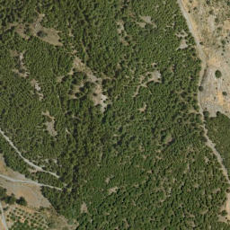 Satellite imagery of survey_point, DZ