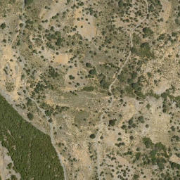 Satellite imagery of survey_point, DZ