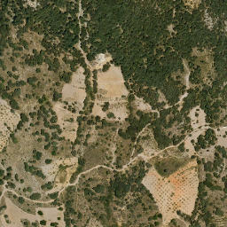 Satellite imagery of survey_point, DZ