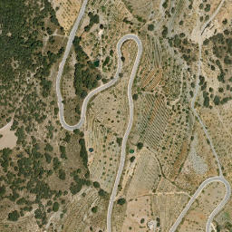 Satellite imagery of survey_point, DZ