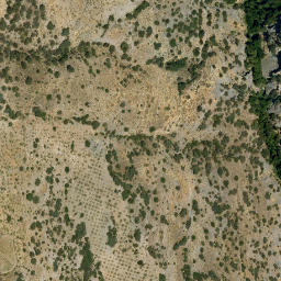 Satellite imagery of survey_point, DZ