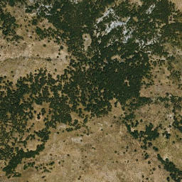 Satellite imagery of survey_point, DZ