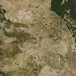 Satellite imagery of survey_point, DZ