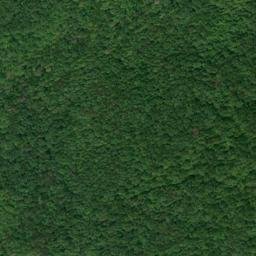 Satellite imagery of Hindsfield Ridge, US