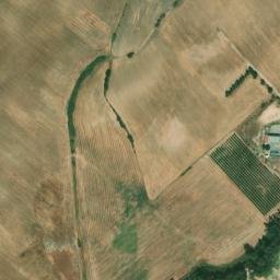 Satellite imagery of survey_point, DZ