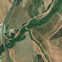 Satellite imagery of survey_point, DZ