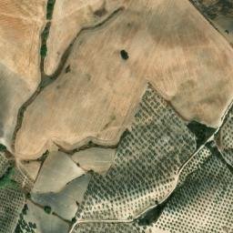 Satellite imagery of survey_point, DZ