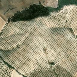 Satellite imagery of survey_point, DZ