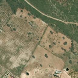 Satellite imagery of survey_point, DZ