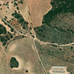 Satellite imagery of survey_point, DZ