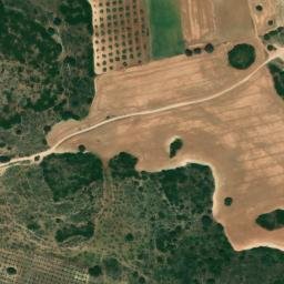 Satellite imagery of survey_point, DZ