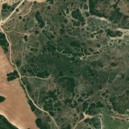 Satellite imagery of survey_point, DZ