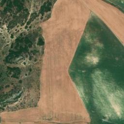 Satellite imagery of survey_point, DZ