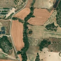 Satellite imagery of survey_point, DZ