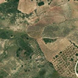 Satellite imagery of survey_point, DZ
