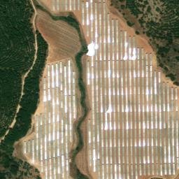 Satellite imagery of survey_point, DZ