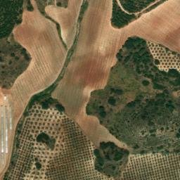 Satellite imagery of survey_point, DZ