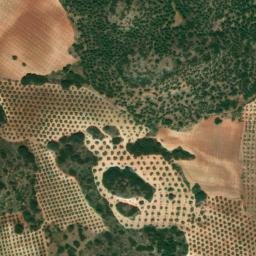 Satellite imagery of survey_point, DZ