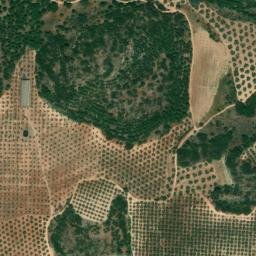 Satellite imagery of survey_point, DZ