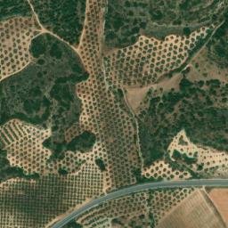 Satellite imagery of survey_point, DZ