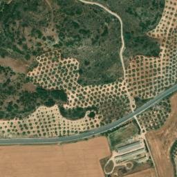 Satellite imagery of survey_point, DZ