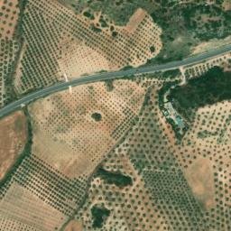 Satellite imagery of survey_point, DZ
