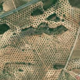 Satellite imagery of survey_point, DZ