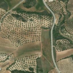 Satellite imagery of survey_point, DZ