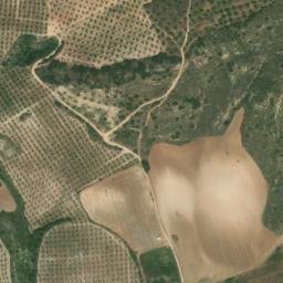 Satellite imagery of survey_point, DZ