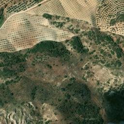 Satellite imagery of survey_point, DZ