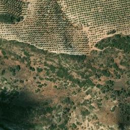 Satellite imagery of survey_point, DZ
