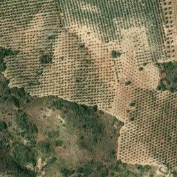 Satellite imagery of survey_point, DZ