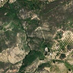Satellite imagery of survey_point, DZ