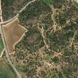 Satellite imagery of survey_point, DZ