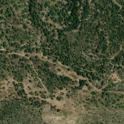 Satellite imagery of survey_point, DZ