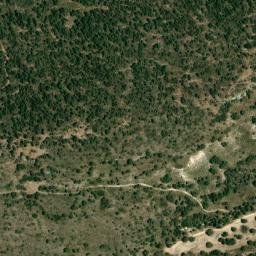 Satellite imagery of survey_point, DZ