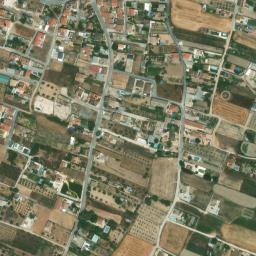 Satellite imagery of survey_point, DZ