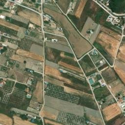 Satellite imagery of survey_point, DZ