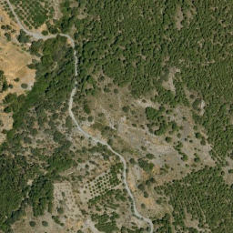 Satellite imagery of survey_point, DZ