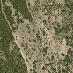 Satellite imagery of survey_point, DZ