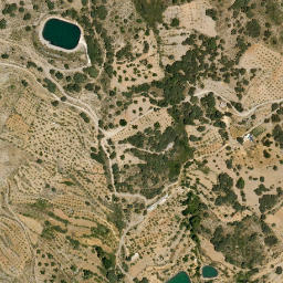 Satellite imagery of survey_point, DZ