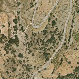 Satellite imagery of survey_point, DZ