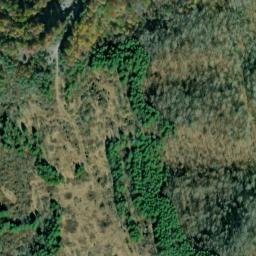 Satellite imagery of Sourwood Mountain, US