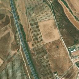 Satellite imagery of survey_point, DZ