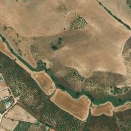 Satellite imagery of survey_point, DZ