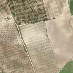 Satellite imagery of survey_point, DZ
