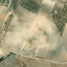 Satellite imagery of survey_point, DZ