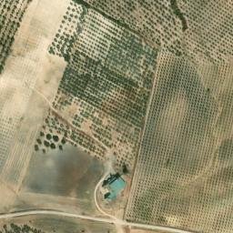 Satellite imagery of survey_point, DZ