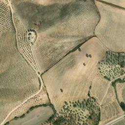 Satellite imagery of survey_point, DZ
