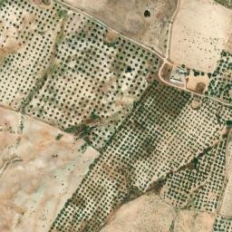 Satellite imagery of survey_point, DZ